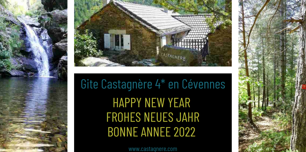 HAPPY NEW YEAR - FROHES NEUES JAHR - BONNE ANNEE 2022 !!!!! 
