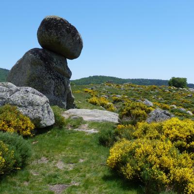 Au dessus de mas camargues