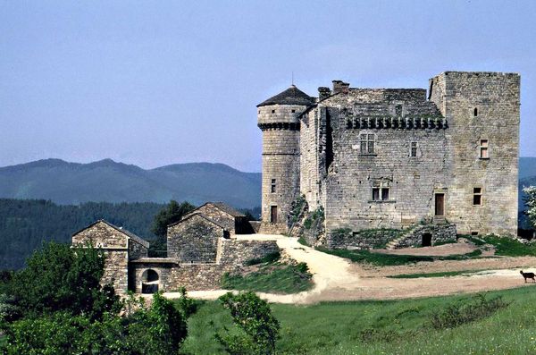 Chateau d'Aujac, à 5km du gite Castagnère 4* en Cévennes