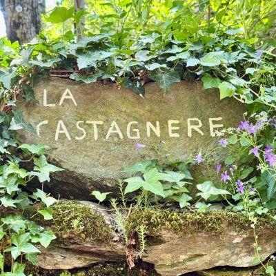 Castagnere cevennes