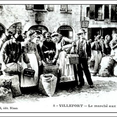 Villefort le marché aux chataignes