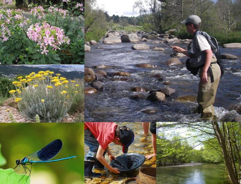 Gite Castagnere en Cevennes - Activités au bord de la Cèze