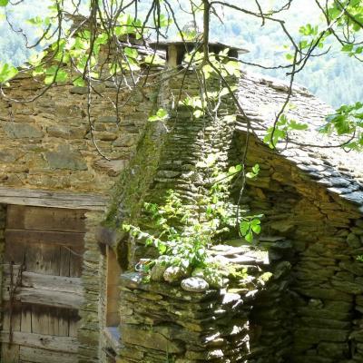 Clède (séchoir à chataignes) du mas Castagnère en Cévennes