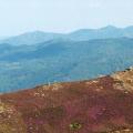 Corniche des cevennes