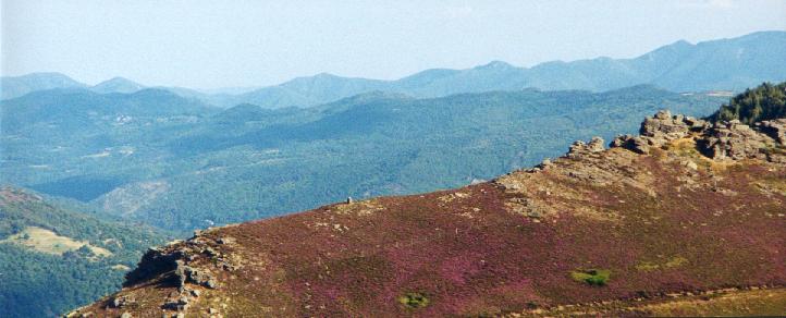 Corniche des Cévennes