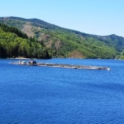 Elevage de truite lac de Villefort @ Gite Castagnere