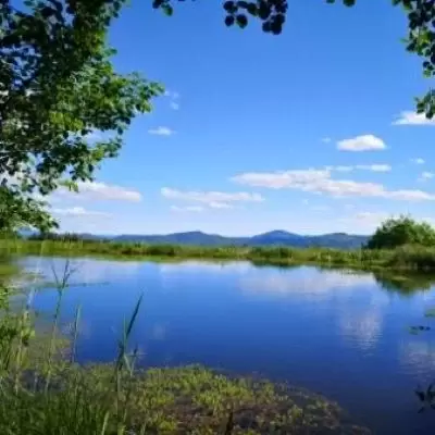 Etang d'Aubrias