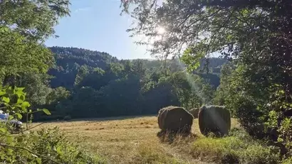 Ete gite castagnere cevennes