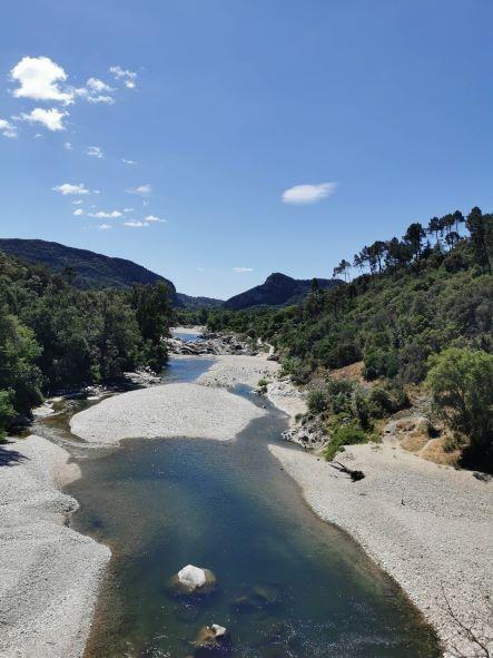 Gorges du Gardon