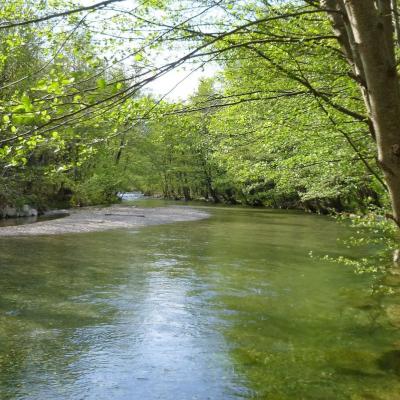 Gite Castagnère 4* en Cévennes riviere Cèze