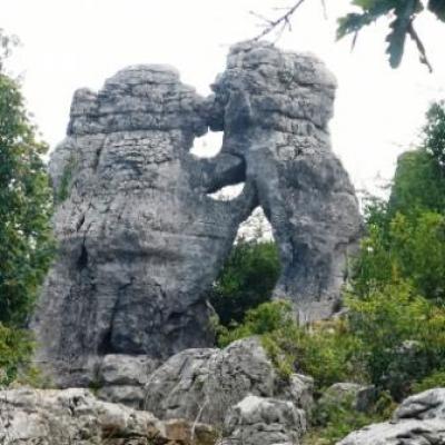 L ours et le lion bois de paiolive castagnere com 1