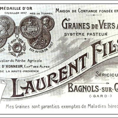 Graines de vers a soie produites selon le systeme Pasteur