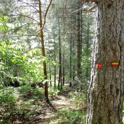 Mas Castagnère en Cévennes chemin de randonnée GRP4