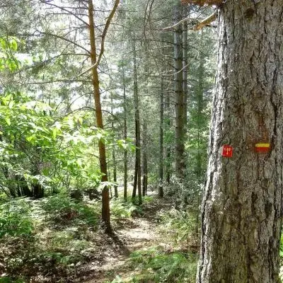 Mas Castagnere en Cévennes chemins de randonnees 1