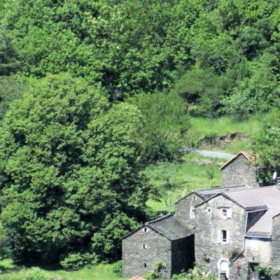 Environnement du mas Castagnère en Cévennes