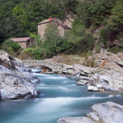 Rivière la Cèze - Moulin du Roure