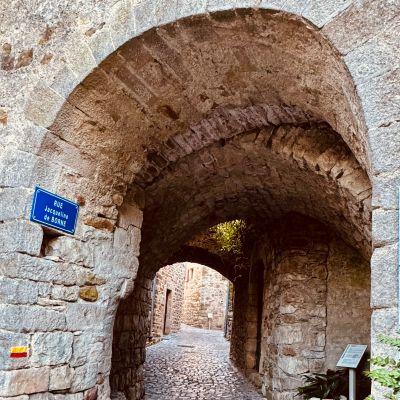 Naves castagnere cevennes