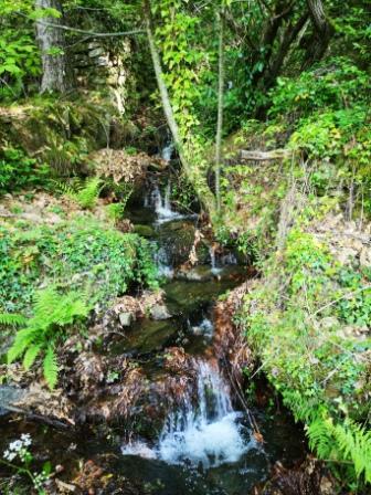 Ruisseaumalbosc