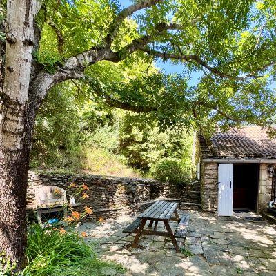 Terrasse ombragee gite castagnere cevennes