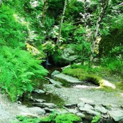Tour du lac de villefort gite castagnere